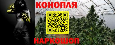 Альфа ПВП Малоярославец