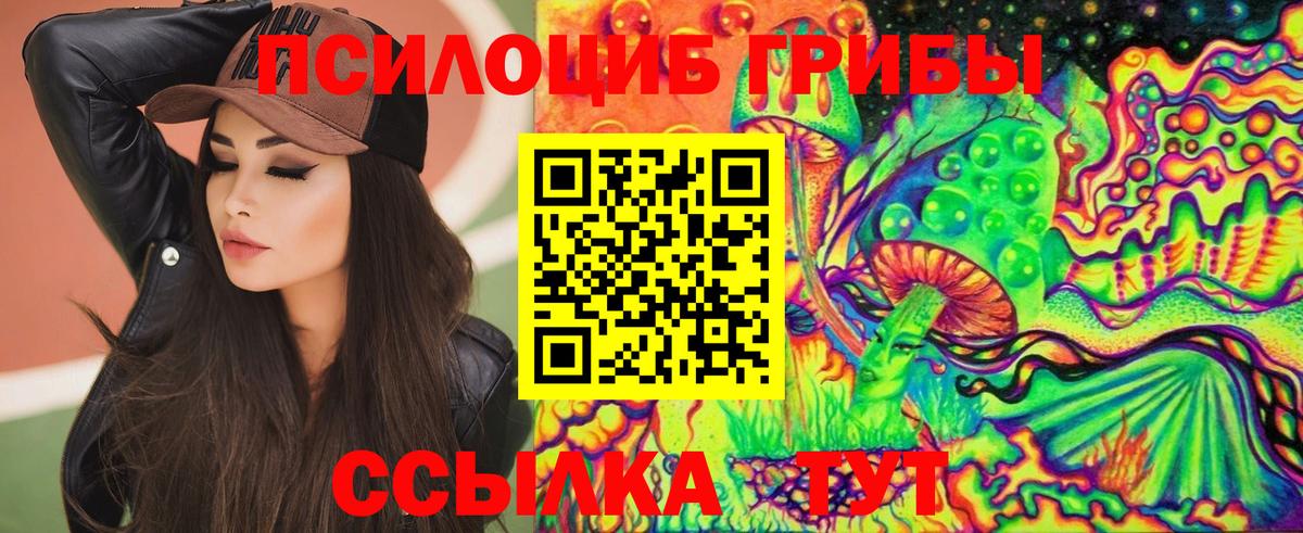 сколько стоит  Вход с VPN  Псилоцибиновые грибы мухоморы  Добрянка  Галлюциногенные грибы Psilocybe 